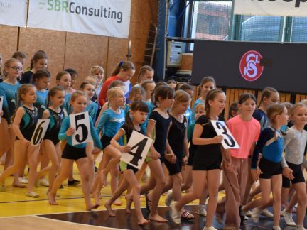 Písecký Sokol pořádal župní přebor v gymnastice a šplhu. Domácí závodníci excelovali