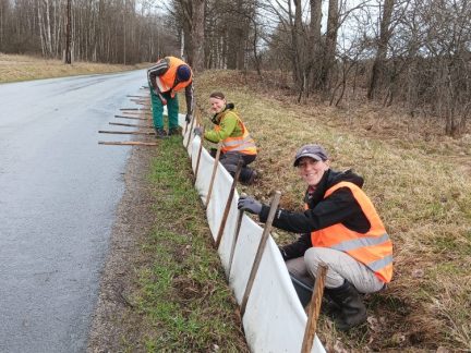 Ochránci přírody zachraňují na Šumavě tisíce obojživelníků