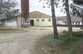 Zloděj zabil v areálu zemědělského družstva v Hněvkovicích prasata. Odvezl je na kolečkách