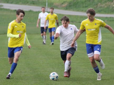 Fotbal: Jihočeská dieta straší i Hrdějovice. Po letech bojují na jaře bez kouče Hrdličky