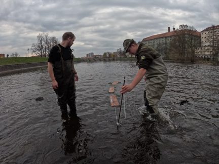 Umělé rybí trdliště na Otavě v Písku podpoří populaci ryb