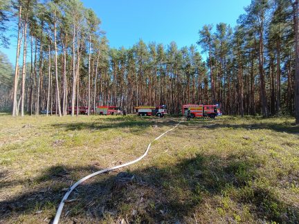 Čtyři jednotky hasičů zasahují u požáru lesa na Jindřichohradecku