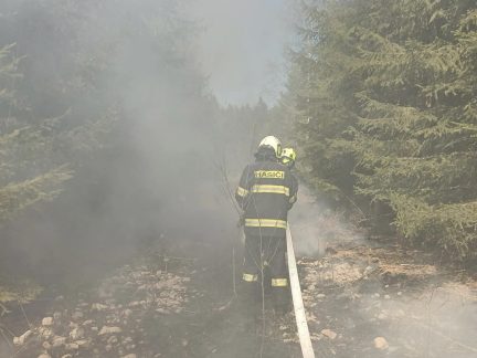 Nedaleko Borkovic na Táborsku hoří les
