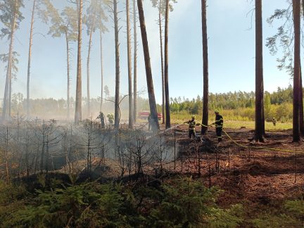 U Dírné na Táborsku hoří les a hrabanka. Na místě je šest cisteren