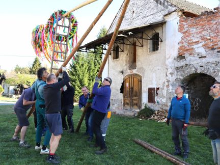 Kolik rukou je třeba k postavení májky? Technologický popis ve Františkově nepotřebují