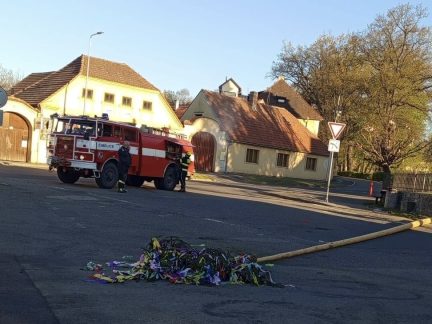 V Čimelicích májku neuhlídali. Někdo ji v noci podřízl