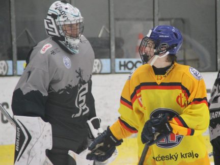 Hokej: Rošády brankářů. Novotný míří do Oulu, Motor si vyhlédl ve Finsku Bogače