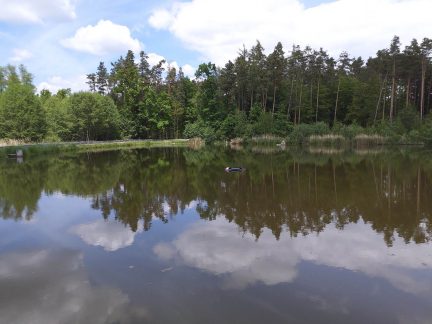 Řidič se svým Audi skončil v rybníku. Podařilo se mu vylézt oknem