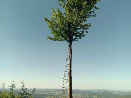 Paraglidista zakončil let na stromě. Na zem mu pomáhají hasiči