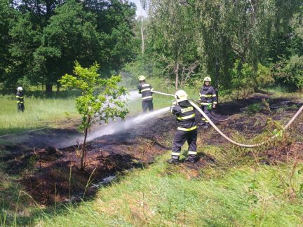 Hasiči vyjížděli k pádům stromů. Ve Vladyčíně hořelo po zásahu blesku