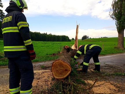 Bezproudí postihlo deset tisíc jihočeských odběratelů. Energetici už odstranili 80 procent poruch
