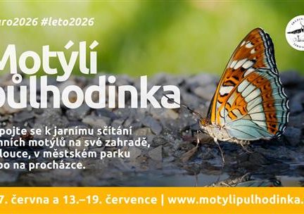 Zapojte se do akce motýlí půlhodinka, zve písecký městský úřad