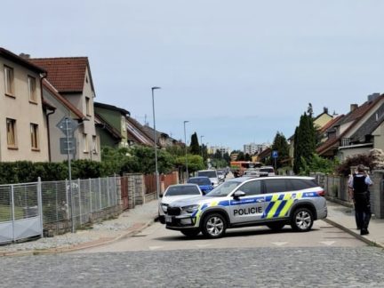 Muž, který chodil po Strakonicích se zbraní je zadržen. Zranil kočku