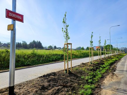 Na podzim a na jaře se v Písku vysadilo 300 nových stromů