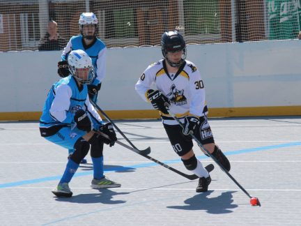 Hokejbal: Šampion je z Pardubic. Finálový turnaj na jihu Čech opanovaly naděje HBC Svítkov