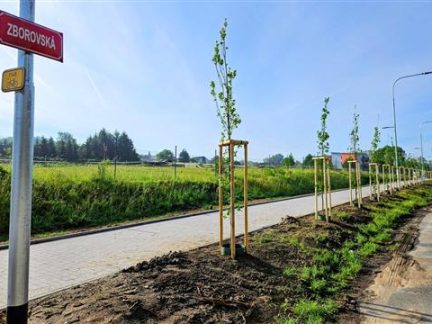 Stezka ve Zborovské ulici v Písku je hotova, na podzim bude ještě vysazena druhá polovina nové aleje