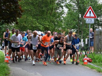 Víkendu na Táborsku: Vesna, Poletíme?, výstava v Jistebnici i běh v Turoveckém lese