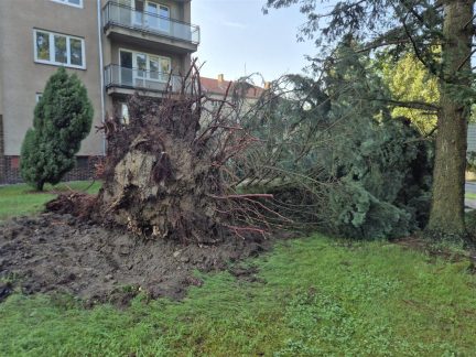 Písek sčítá škody po víkendové bouři. Poničila zeleň, komunikace i městský majetek