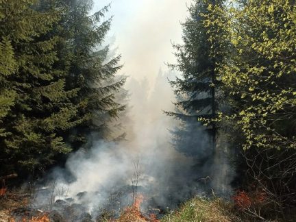 Kraj prověřil riziko požárů. Hasiči zatím nedoporučují vyhlásit období zvýšeného nebezpečí