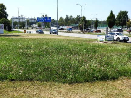 Mozaikové seče budějovických trávníků opět podpoří biodiverzitu
