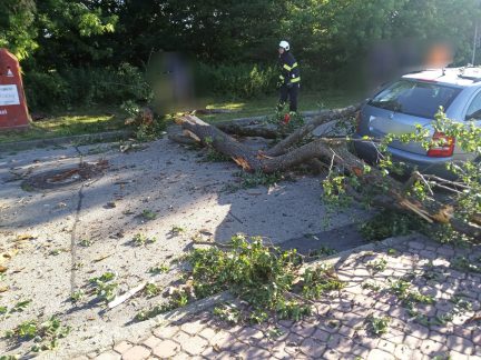 Silný vítr zaměstnává hasiče. V Budějovicích padl strom na projíždějící auto, u Domanína hasí les