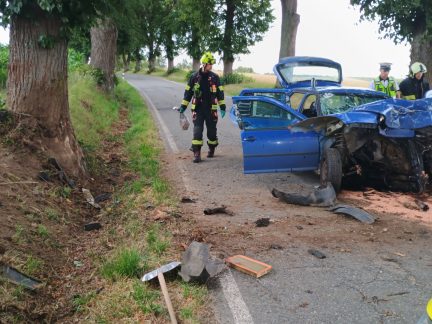 AKTUALIZOVÁNO: Tři zranění po čelním nárazu do stromu u Hluboké nad Vltavou