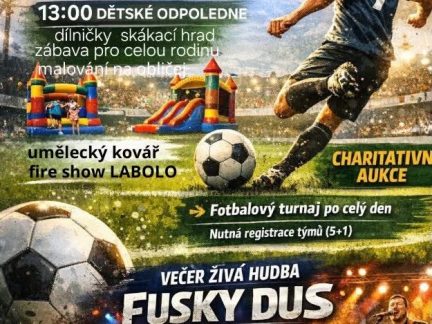 V Čimelicích se v sobotu koná Memoriál Davida Příborského. Dorazí i šampion v boxu bez rukavic Hála