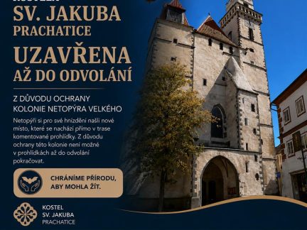 Vyhlídková věž kostela svatého Jakuba v Prachaticích je uzavřena. Zabydleli se v ní netopýři