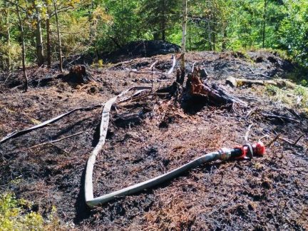 Hoří les u Klikova, hasiči požár dostali pod kontrolu