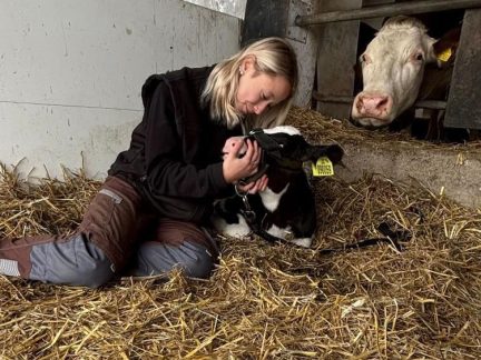 Kdo bude krmit, dojit nebo orat? Paradoxy dotazníkového šetření mezi studenty a šéfy agropotravinářského oboru