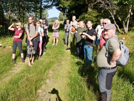 Na procházce s ředitelem národního parku výprava vyplašila kuře chráněného jeřábka