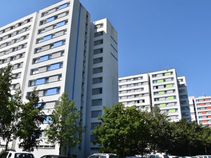 Obyvatelé táborského Sídliště nad Lužnicí svůj boj o zachování lokality u Lužnice prohráli