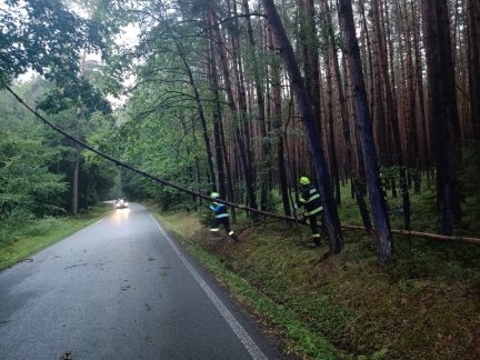 Jižní Čechy zasáhnou podle meteorologů odpoledne silné bouřky. Hlavně Šumavu