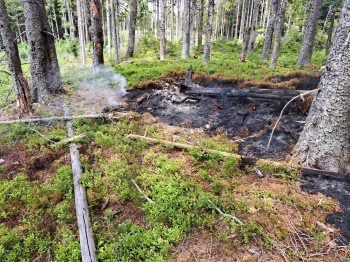 Hoří v Národním parku Šumava. Požár je ve velmi těžko přístupném terénu