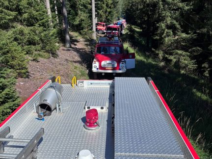Hasiči zlikvidovali požár v Národním parku Šumava. U požářiště je nelegální ohniště