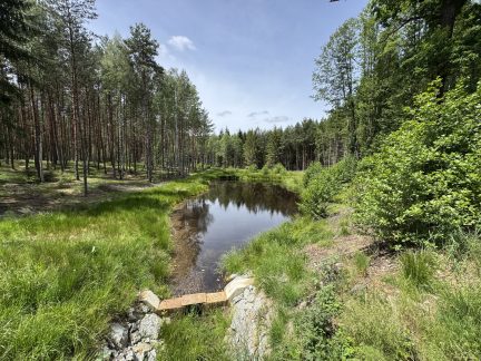 Odvodňovací příkopy nahradily v jihočeské krajině přírodní meandry