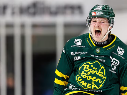 Motor přivedl druhého Švéda v historii, posilou obránce Lucas Nordsäter