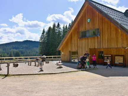 Kam za zvířaty na Prachaticku? Vyrazte za jeleny, rysy, sovami i vlčí smečkou