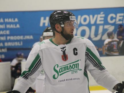 Hokej: Tři sezony a dost. Angažmá pod zámkem bylo pro Martina Hanzala poslední
