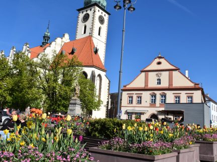Kam za kulturou na Táborsku: Veteráni, pozorování ptáků a centrum Tábora plné komediantů