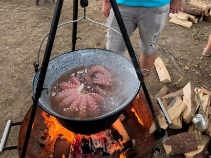 VIDEO: Ve Veselíčku letos vyhrálo vepřové, ale v hrnci bublala i chobotnice. Nejlepší guláš uvařila domácí Gulášová pěchota