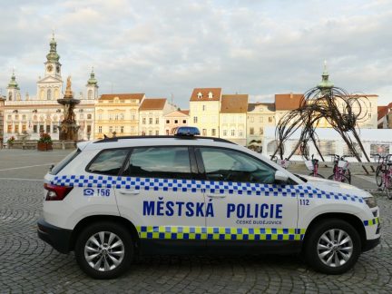 Papoušek si spletl adresu. Nezazvonil a přiletěl do bytu na Vltavě