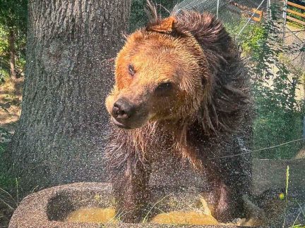 Kam o víkendu na Táborsku. Za baribaly nebo na Chotovinské slavnosti