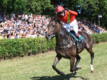 Od světového triatlonu přes Zbytinský festiválek po dostihy. Prachaticko čeká nabitý víkend