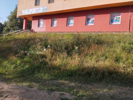 Sečení trávy v Krumlově nadzvedlo obyvatele města. Ve vedrech se neprovádí, vzkázali radnici