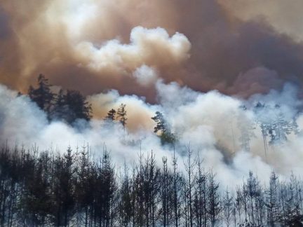 Rozsáhlý požár lesa u Lnář: Hasiči jej dostali během noci pod kontrolu, zásah pokračuje