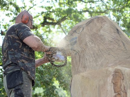 Na Hluboké začíná dřevařské sympozium