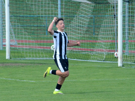 Starší žáci Milevska v domácí premiéře nasázeli Hradišti bůra, mladší dokonce kanára