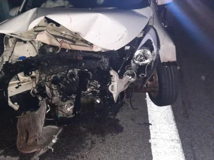 Divoká prasata vběhla do cesty řidičům na Táborsku a Budějovicku. Jeden muž se vážně zranil