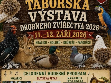 Chovatelská výstava v Táboře přiblíží chovatelství dětem